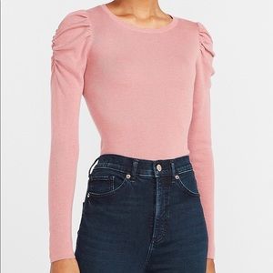 Express Velvet Rose Crew Neck Sweater